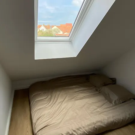 L'opale Des Tribus *